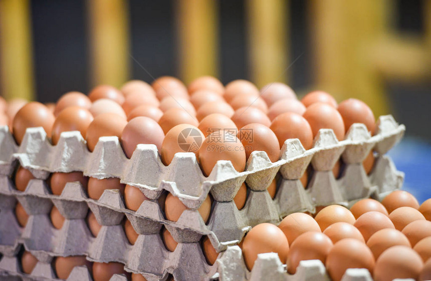 鸡场托盘上新鲜鸡蛋包装图片