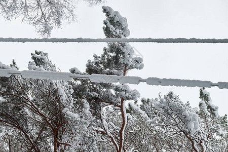 危险的电线电线上的大雪电线上未清理的雪旧电缆图片