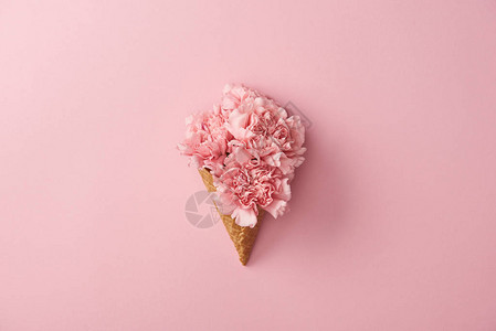 粉红色的美丽的康乃馨花在松饼锥中图片