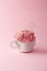 白水壶粉红背景的粉红色图片