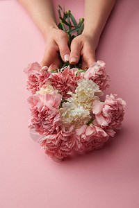 粉红色的白红和粉红康乃馨鲜花中女图片
