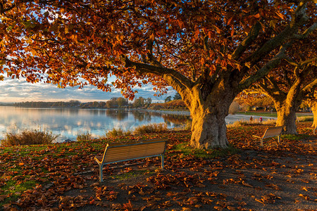 美丽的康斯坦丝湖的秋天节日阳高清图片
