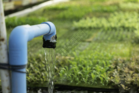 蔬菜绿橡树菜园水培系统水肥自动化生态有机现代智能农高清图片