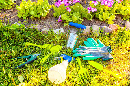 园艺工具铲子修枝剪耙子手套床背景上的月见草花春季或夏季花园生态自然图片
