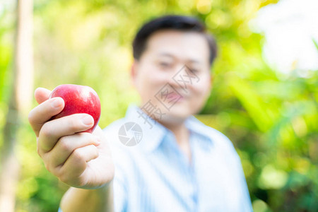 高年男子在绿公园里吃苹果水图片