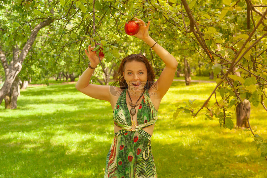 在阳光夏日的阳光苹果园中散步的红发笑着脸红头图片