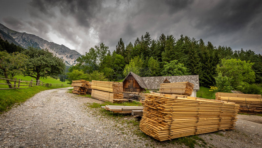 肮脏碎石Sawmill环绕施内伯格下布满成堆木柴的Sawmill路图片