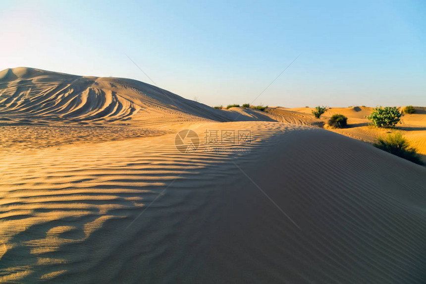 旅游景点沙漠野生动物园迪拜日落沙漠撒哈拉沙丘自然纹理背景阿拉伯联合图片