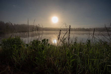 清晨在湖边蓝天湿草和对平静图片