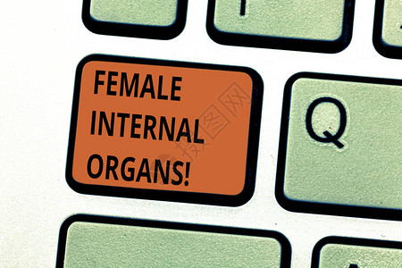 概念手写显示女内脏商业照片文本键盘的内部生殖器结构意图创建计算图片