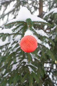 红圣诞球在树枝上的树图片