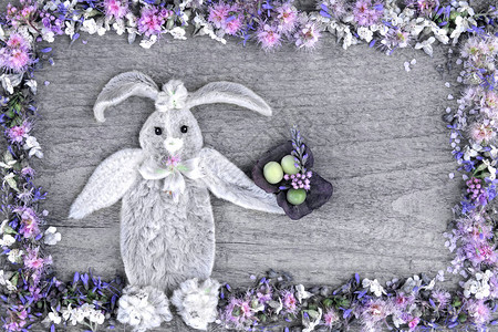 斯达菲斯花叶上的兔子的构成以及斯皮亚拉和维图片