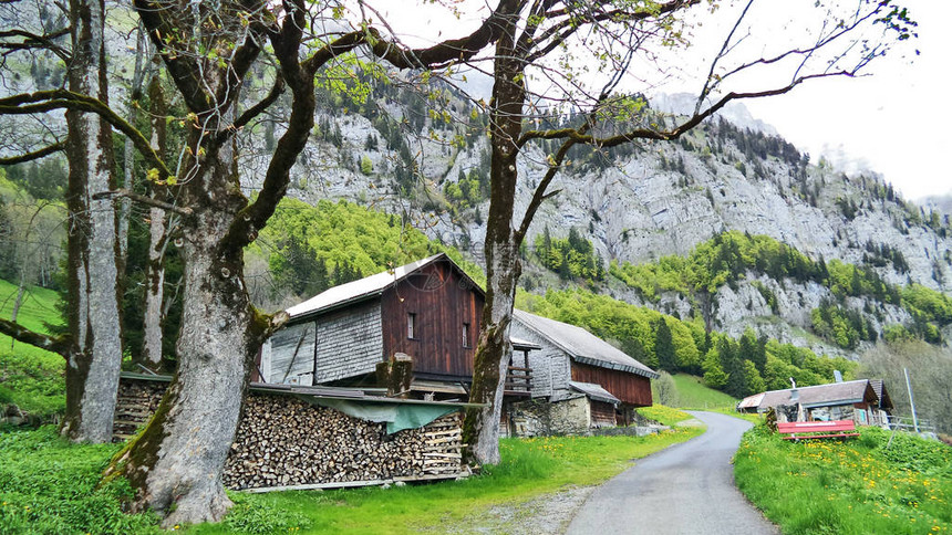 瑞士圣加仑州Churfirveen山脉南坡的阿尔卑斯山养牛场和传统建筑图片