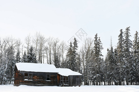 冬天破旧农舍的图像图片
