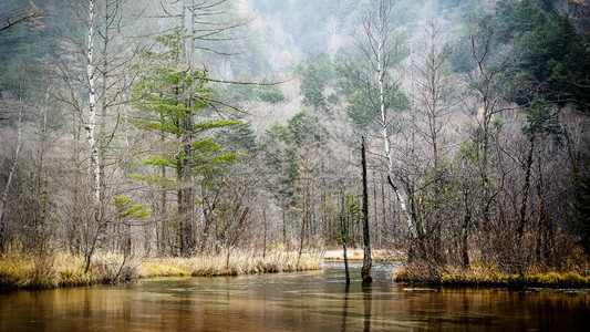 山河水景山中野河山野河水景图片