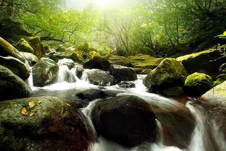 河流自然景观与雨林自图片