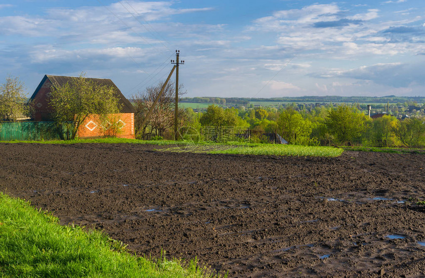 乌克兰的春天风景图片