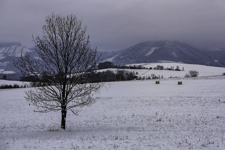 冬天在雪地草原图片