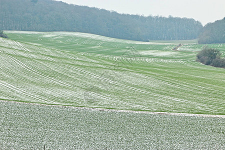 冬天的农业有斜线的田地图片