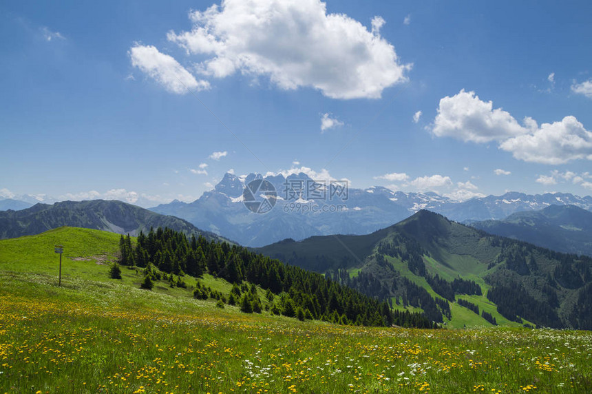 法国阿尔卑斯山罗昂阿尔卑斯地区有花朵和蓝天空的美图片