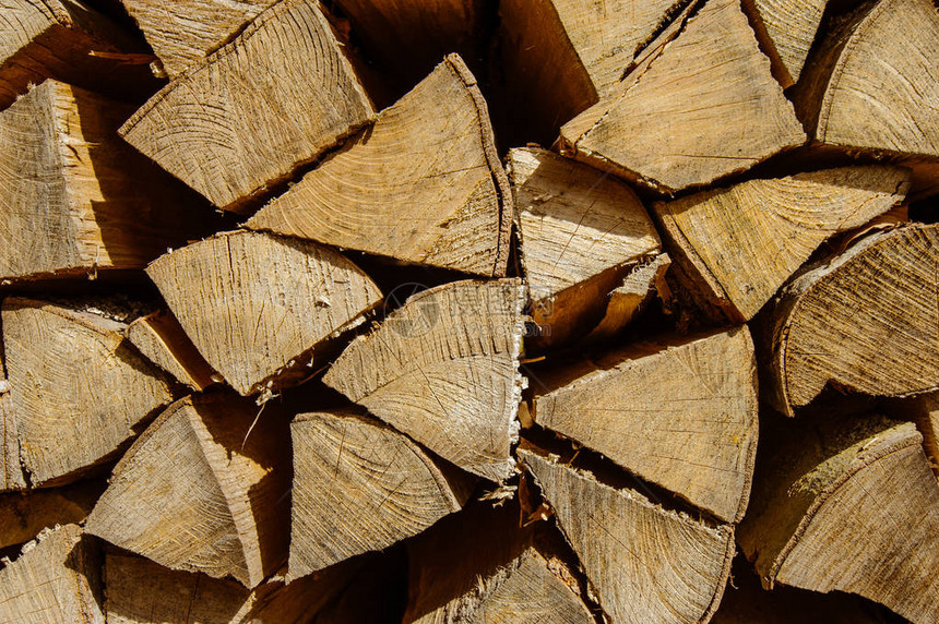 在木材中砍伐的木材原木图片