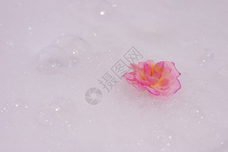 白色泡沫上的粉红色花朵化妆品泡沫图片