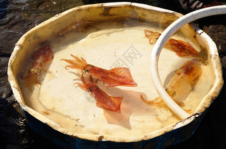 意大利有鲜鱼和海鲜的典型户外图片