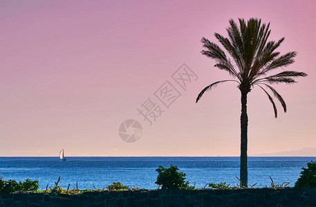 棕榈巴苏日落天空背景海边的粉红色日落从特内里费岛欣赏拉戈图片