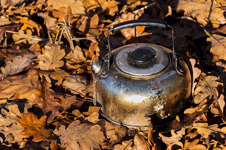 森林里有烟熏的锡茶水壶自然背景下落的叶子图片