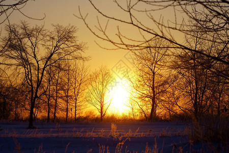 冬日清晨的日出背景图片