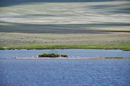 蒙古小湖图片