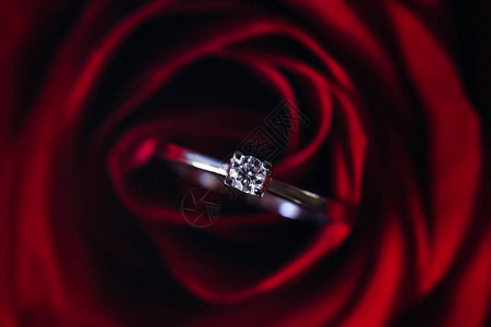 红玫瑰和带钻石的金戒指图片