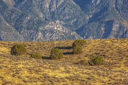 从秃山上看到的尼波山崎岖的山峰从秃头山的草坡上看到的尼波山崎岖的山峰在犹他州阳光明媚的日子里图片
