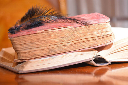桌木上旧书上的黑色羽毛图片