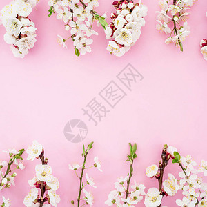 花框与柔和的粉红色背景上的春天的花朵图片