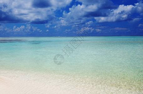 美丽的马尔代夫海滩自然的美丽背景图片