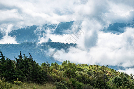 峰顶青山白雾云景观区图片