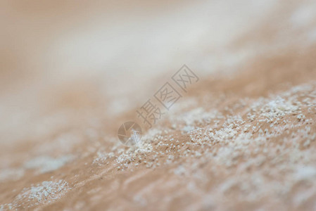 长在皮革表皮上的霉菌孢子的宏观图片