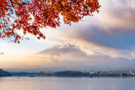 清晨在川口子湖的青藤山穿过浓图片