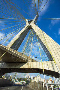现代建筑现代桥梁世界有线桥巴西圣保罗南美洲图片