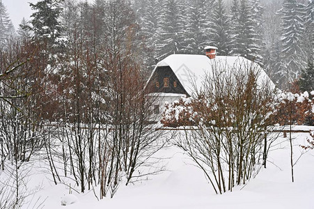 雪屋一个美丽的冬天风景概念图片