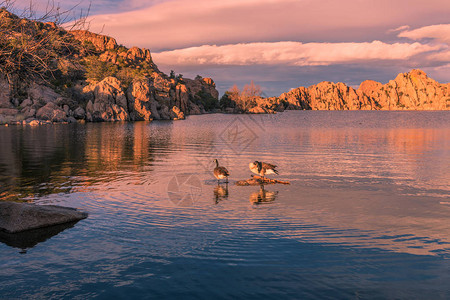 华生湖的风景观普雷斯考背景图片