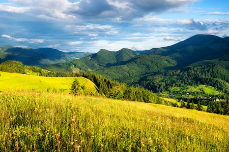 山中的田野山的夏天自然夏季景观山上开满鲜花的草甸乡村景观图片