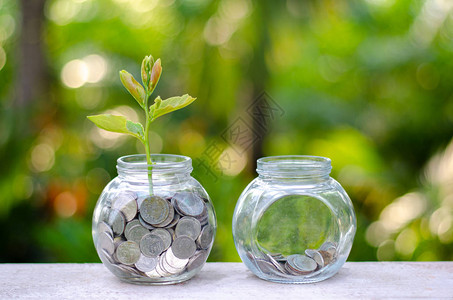 硬币树玻璃罐植物从玻璃罐外的硬币生长图片