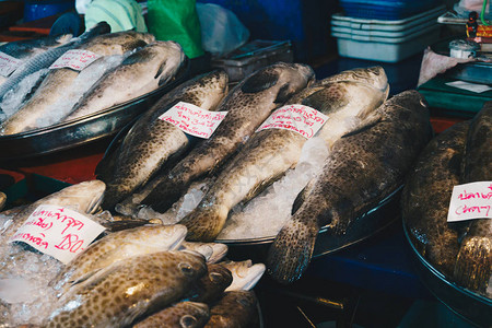 冰面市场上的鱼海食物图片