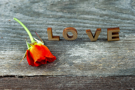 用红玫瑰在木头上拼出爱的四个质朴字母块情人节卡片爱的红图片
