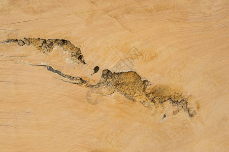 背景的天然木材纹理图片