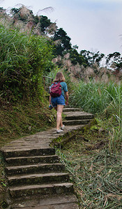 徒步穿越台北森林图片