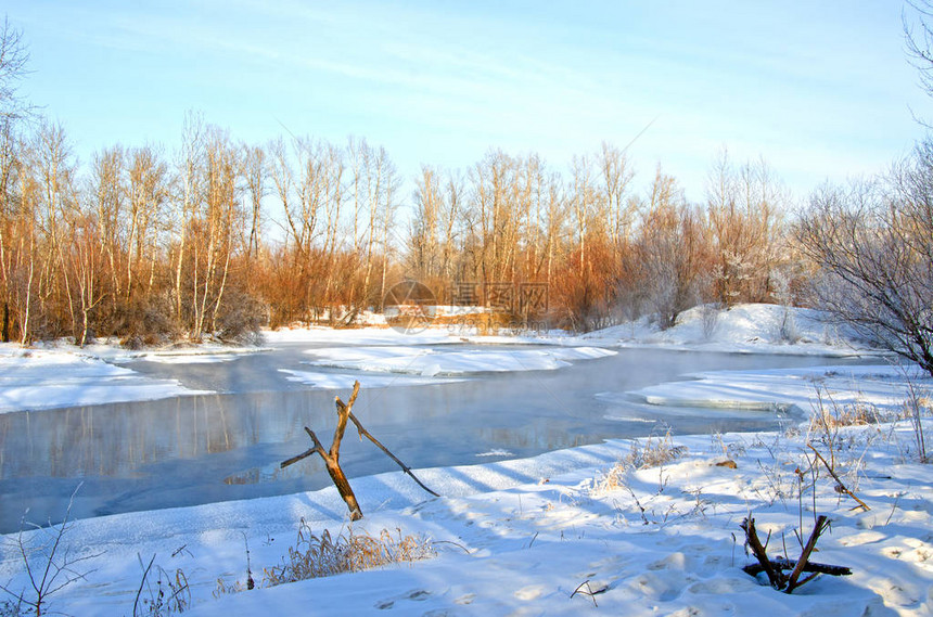 不结冰的冬季湖蒸汽上升的池塘附近光秃的冬树冬天俄图片