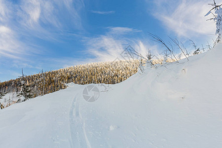 在白雪皑的冬天图片